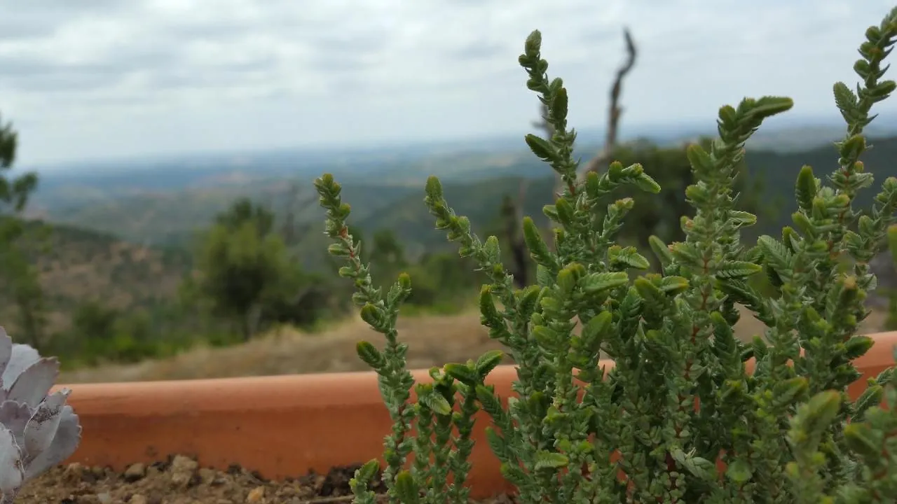 Casa Atman Guest House Monchique Country house